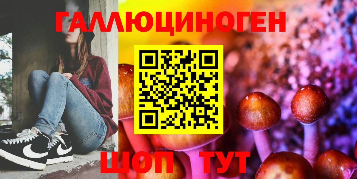 Псилоцибиновые грибы Psilocybine cubensis Волжск