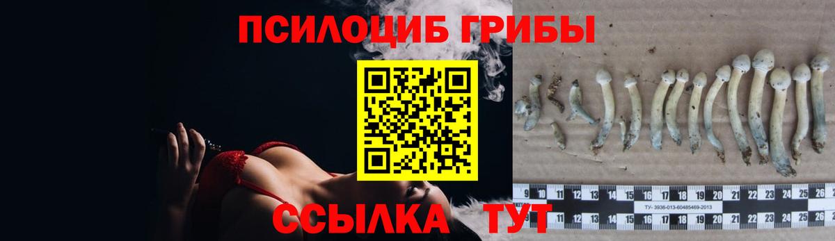 Галлюциногенные грибы прущие грибы  Вход с VPN  Волжск 